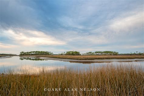 Gloom Over The Marsh Stmarks National Wildlife Refuge Florida