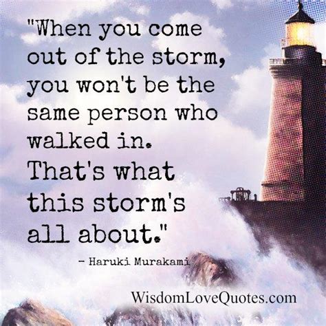 When You Come Out Of The Storm Of Life Wisdom Love Quotes