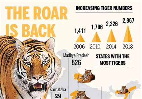 Tiger Count In India Reaches Madhya Pradesh Roars The Loudest