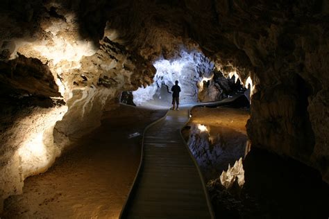 Waipu caves are beautiful caves located in new zealand's north island. Enjoy an alternative summer in New Zealand - Compare ...