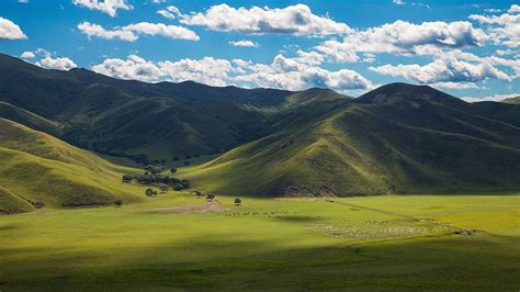 Mongolian Nature