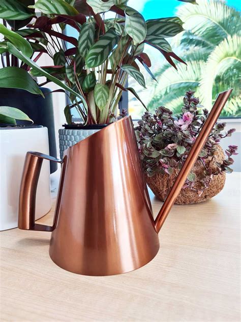 Manhattan Watering Can Indoor Plants Supplies