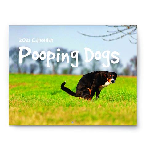 Buy Pooping Dogs 2021 Wall Large 11 X 17 When Open Funny Gag