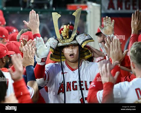 Anaheim Ca June 10 Los Angeles Angels Designated Hitter Shohei