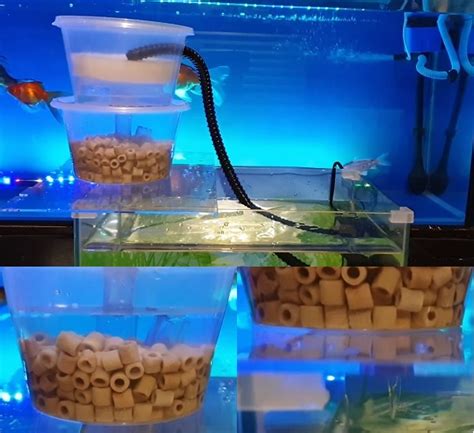 Diy aquarium sump filter for the 800 gallon aquarium. DIY Trickle Filter | Overhead Aquarium Sump Filter