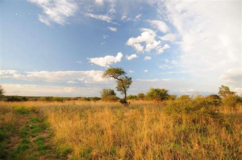 Chobe National Park Botswana Expert Africa