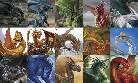 Dungeons And Dragons Dragon Types Of Dragons