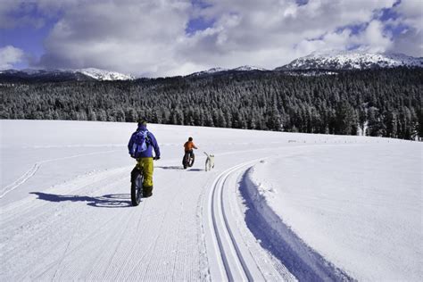 6 Best Outdoor Winter Activities For Kids Adventure Together