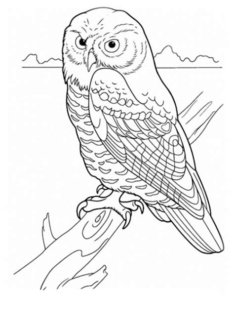 We did not find results for: Malvorlagen zum Drucken Ausmalbild Vögel kostenlos 1