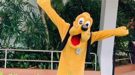 Rinne Lanthan Salbei Pluto Disney Kostüm Umweltschützer Regen Predigen