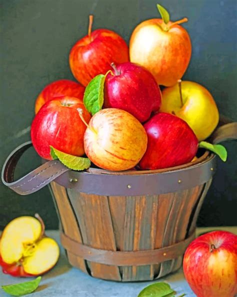 Apples Basket Fruits Paint By Numbers Painting By Numbers