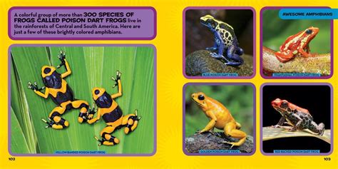 National Geographic Kids Little Kids First Big Book Of Reptiles And