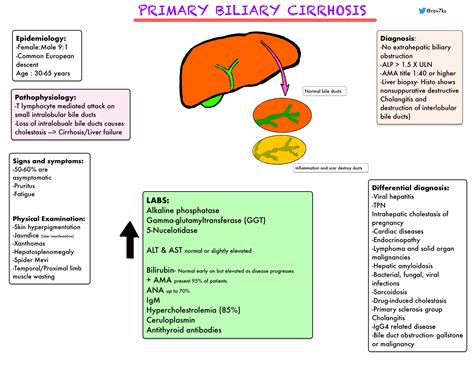 Primary Biliary Cirrhosis Pbc Summary Epidemiology Grepmed