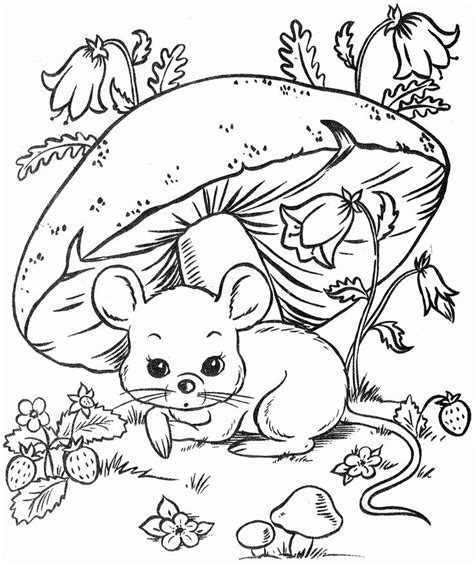 Color 15 adorable baby animals: Download or print this amazing coloring page: 1000+ images ...