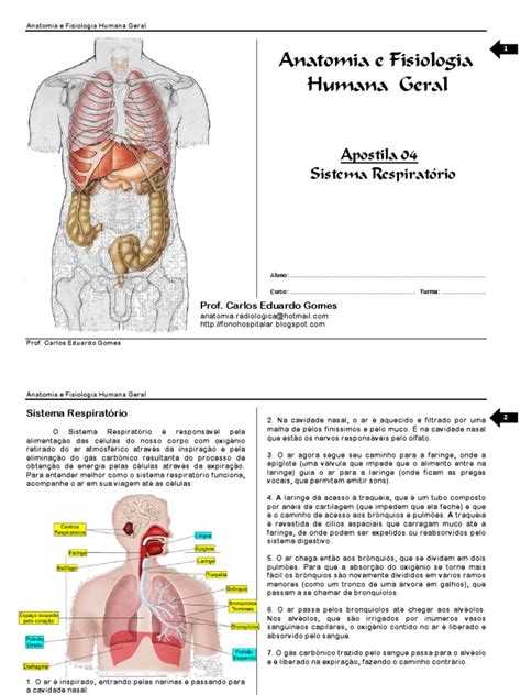 Anatomia E Fisiologia Humana Geral Pdf Pdf Pulmão Laringe