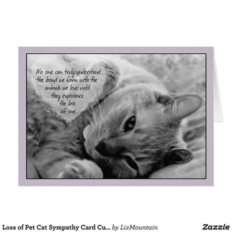 Loss Of Pet Cat Sympathy Card Cuddly Cat On Pillow Cat