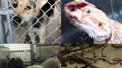 Petition · Stop Animal Mills The Truth Behind Petsmart
