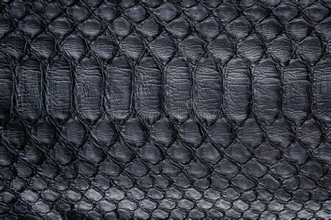 Black Snake Skin Pattern Texture Black Reptile Python Leather