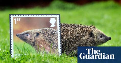 In Pictures Royal Mail Stamps Highlight Threatened Uk Mammals Environment The Guardian
