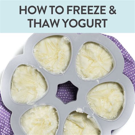 How To Freeze Yogurt LaptrinhX News