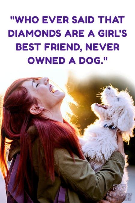 Best Dog And Cat Quotes Wet Noses Pet Sitting