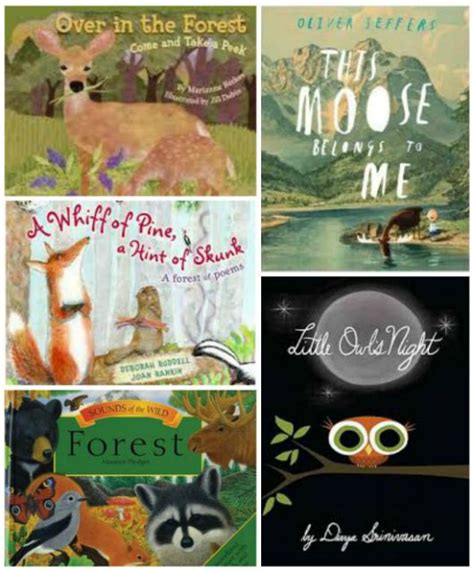 15 Childrens Books About Forest Animals