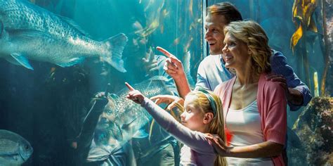 Beste Eintrittskarten Für Sehenswürdigkeiten Sea Life Aquarium Orlando