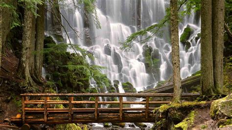 Beautiful Waterfalls On Green Algae Covered Rocks And Wood Bridge