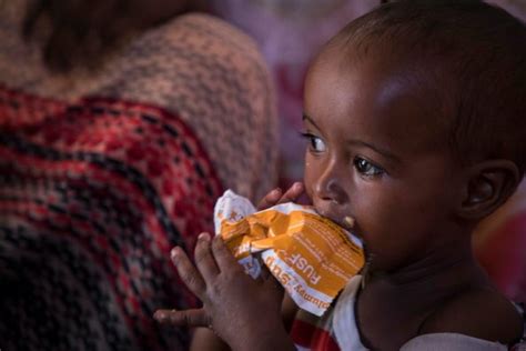 Acute Food Insecurity Soars To Five Year High Warns Global Report On