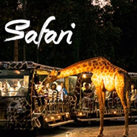 Night Safari Singapore Tickets And Vouchers Local Attractions