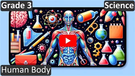 Human Body Class 3 Science Cbse Icse Free Tutorial Youtube