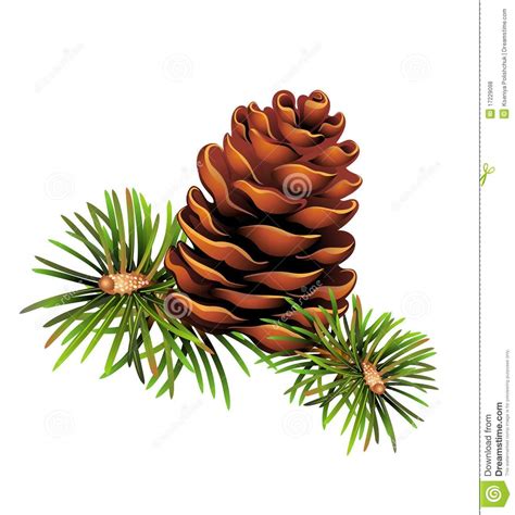 pinecone christmas trees royalty  stock  image