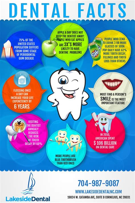 8 Best Dental Facts Images On Pinterest Dental Dental Care And
