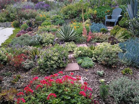 My Dads Front Yard Is Looking Great Los Angeles Ca Rgardening