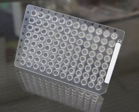96 Well Pcr Plate Template