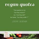 Cool Vegan Quotes