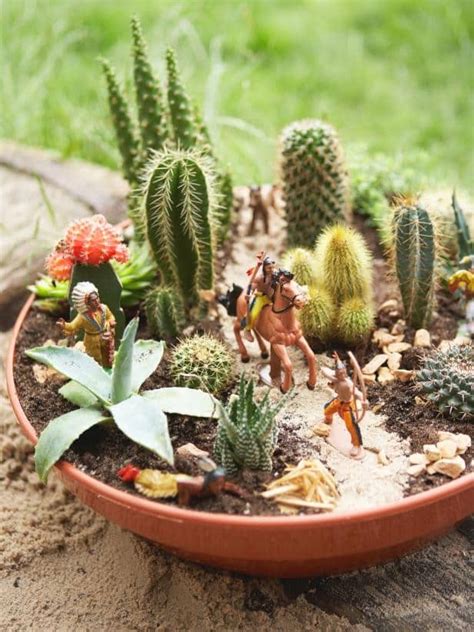 15 Créatives Et Uniques Mini Cactus Jardins