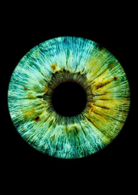 Emerald Eyes Eye Art Iris Eye Eyes Artwork