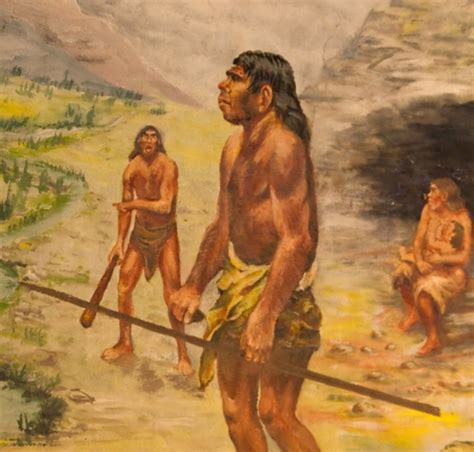 10 Facts About Cavemen Fact File