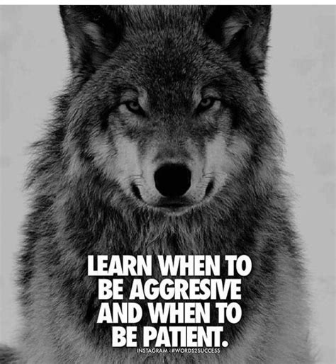 Pin By Petrus Okpanden On Quotes 2 Lone Wolf Quotes Warrior Quotes