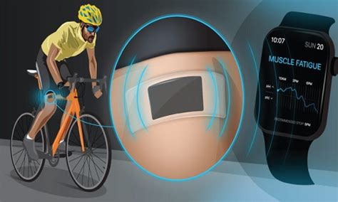 Wearable Sensor That Notifies Of Varying Human Fitness Levels Electro