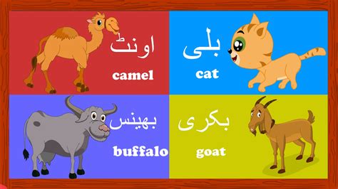 Barkley Foam Posites Pet Animals Name In Urdu