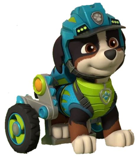 What Kind Of Dogs Are In Paw Patrol