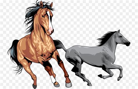 Wild Horse Clip Art 10 Free Cliparts Download Images On Clipground 2023