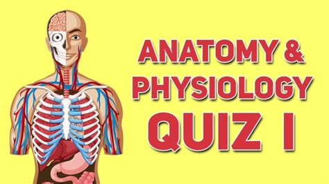 Anatomy And Physiology Quiz Part 1 By Med Brain Media