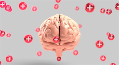 Claves Para Tener Una Buena Salud Cerebral Como Funciona Que