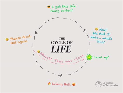Stages Of Life Cycle