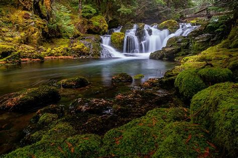 Hd Wallpaper Forest River Stones Moss Waterfalls Cascade Ford