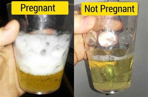 How To Test Pregnancy Using Salt And Urine