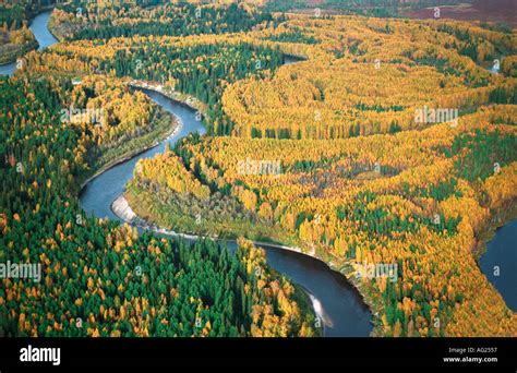 The Western Siberian Rivers And Taiga Taken From A Helicopter Stock